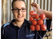 OUTDOOR TOMATOES 1 KG Bag KATIKATI GROWN